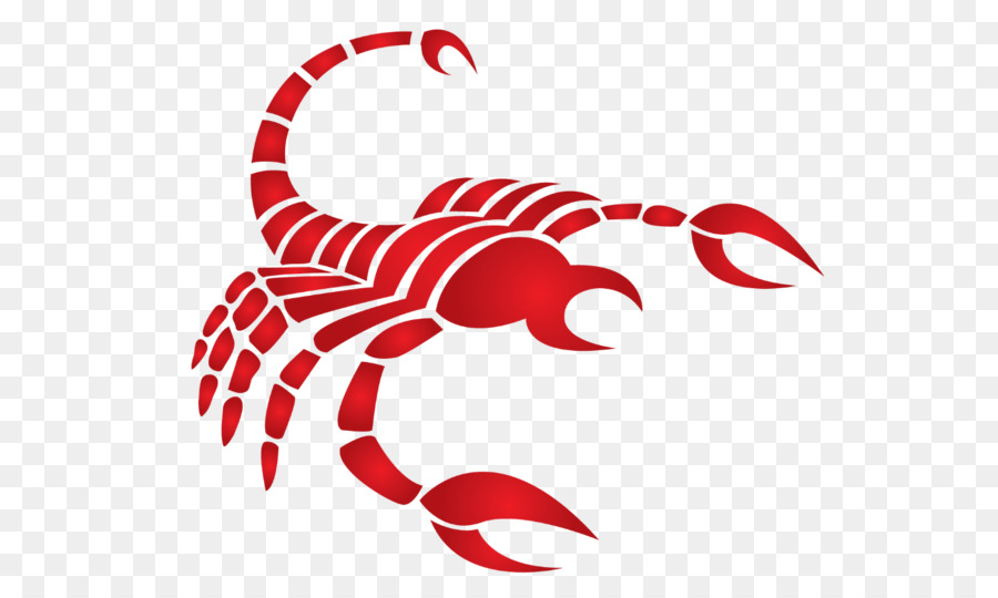 Scorpion，Rouge PNG