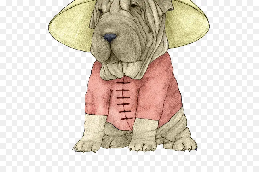 Chien，Chapeau PNG