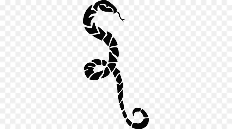 Serpent Simple，Reptile PNG