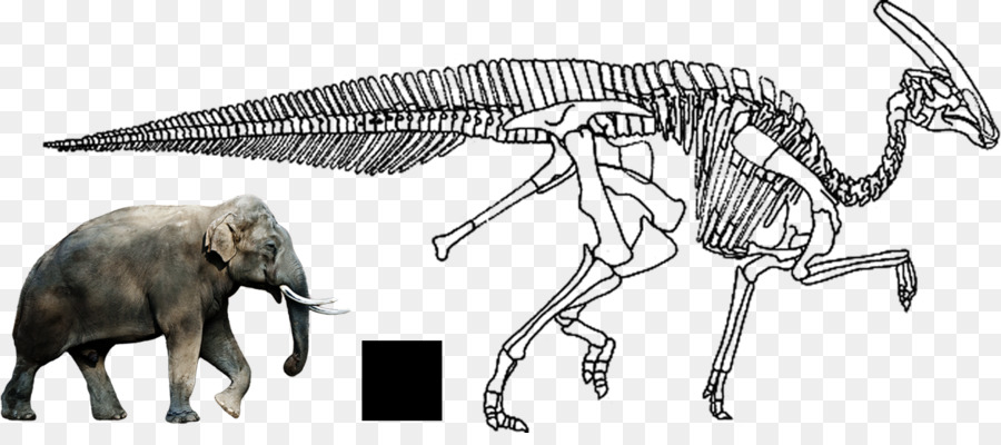 éléphant Africain，Charonosaurus PNG