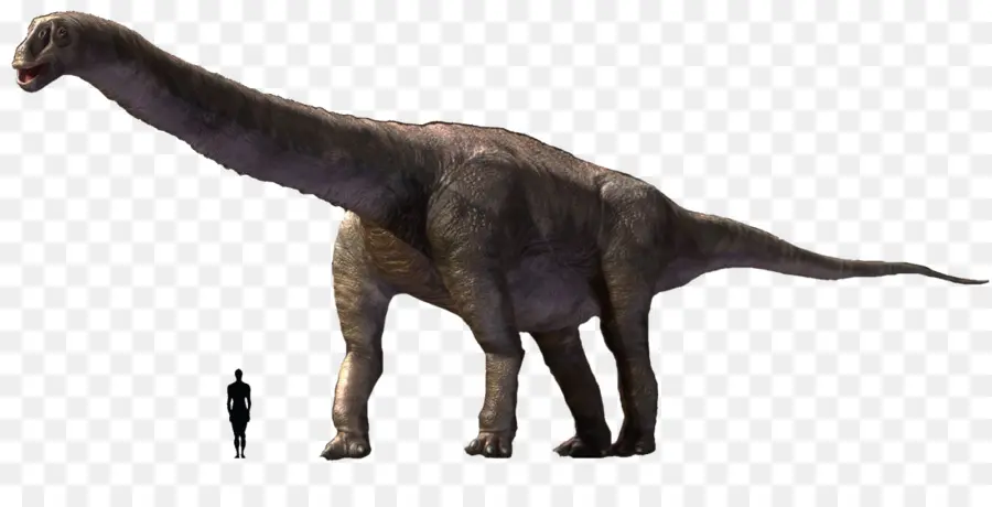 Dinosaure，Préhistorique PNG