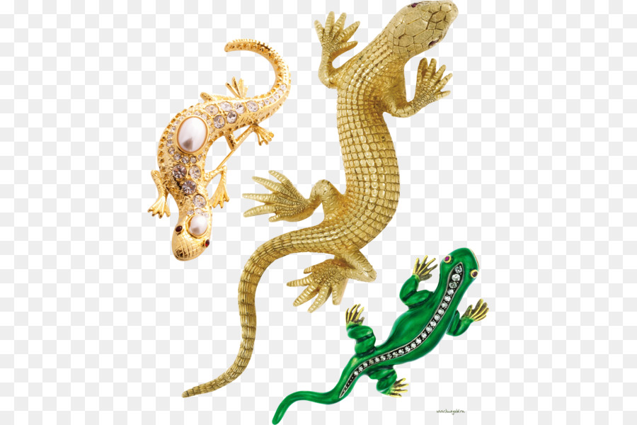 Broches Lézard，Accessoires PNG