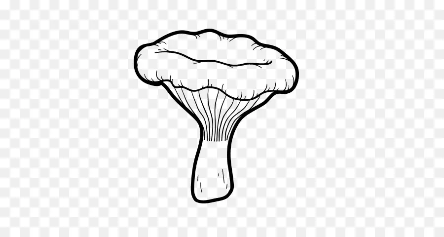 Champignon，Dessin PNG