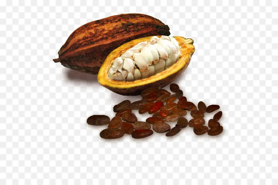 Fève De Cacao，Chocolat Blanc PNG