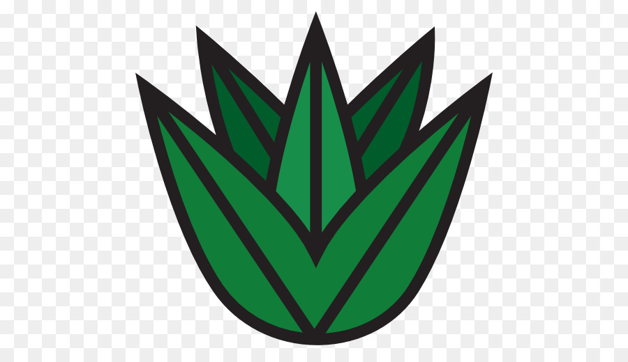 Plante Verte，Feuille PNG