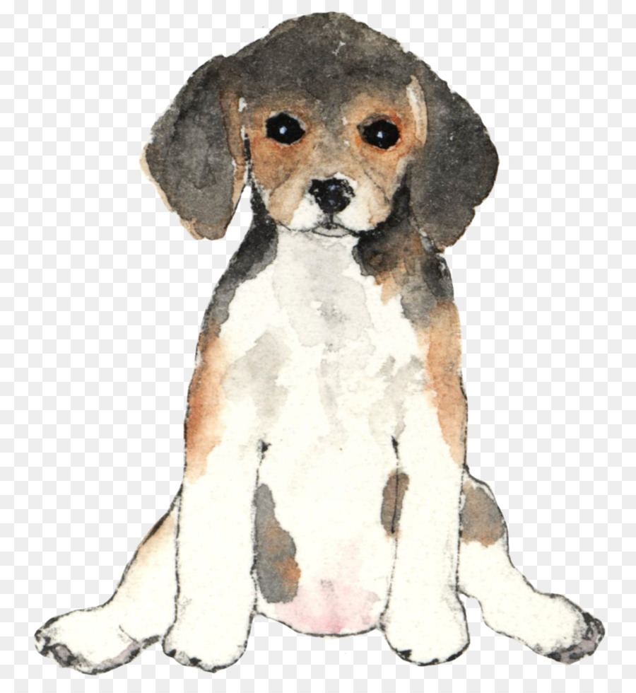 Chiot，Race De Chien PNG