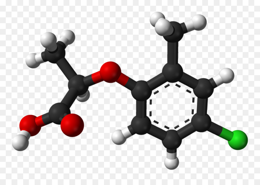 La Sérotonine，La Science PNG