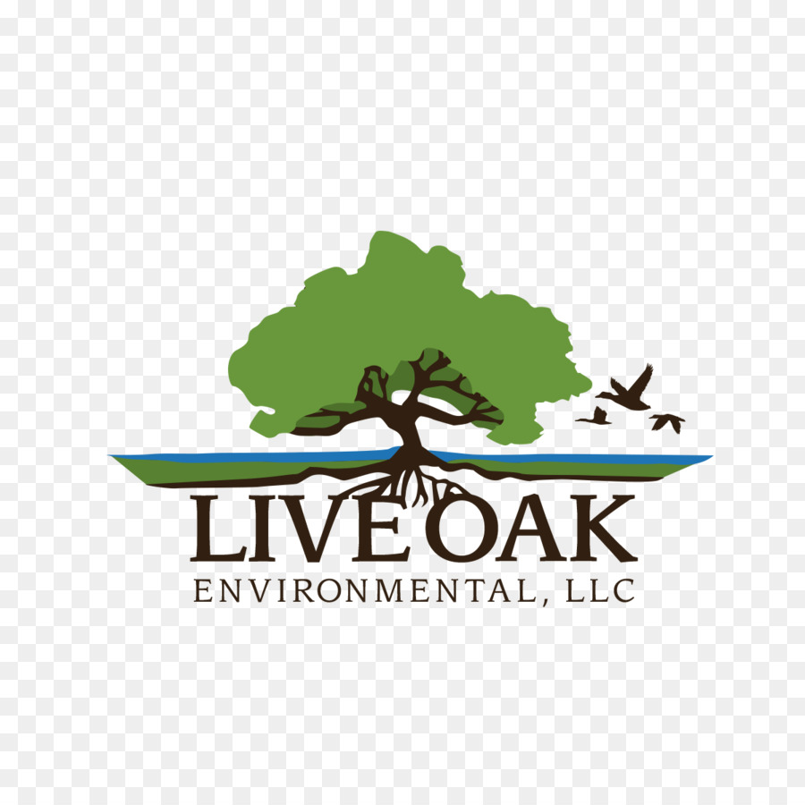 Live Oak De L Environnement，Déchets Commerciaux PNG