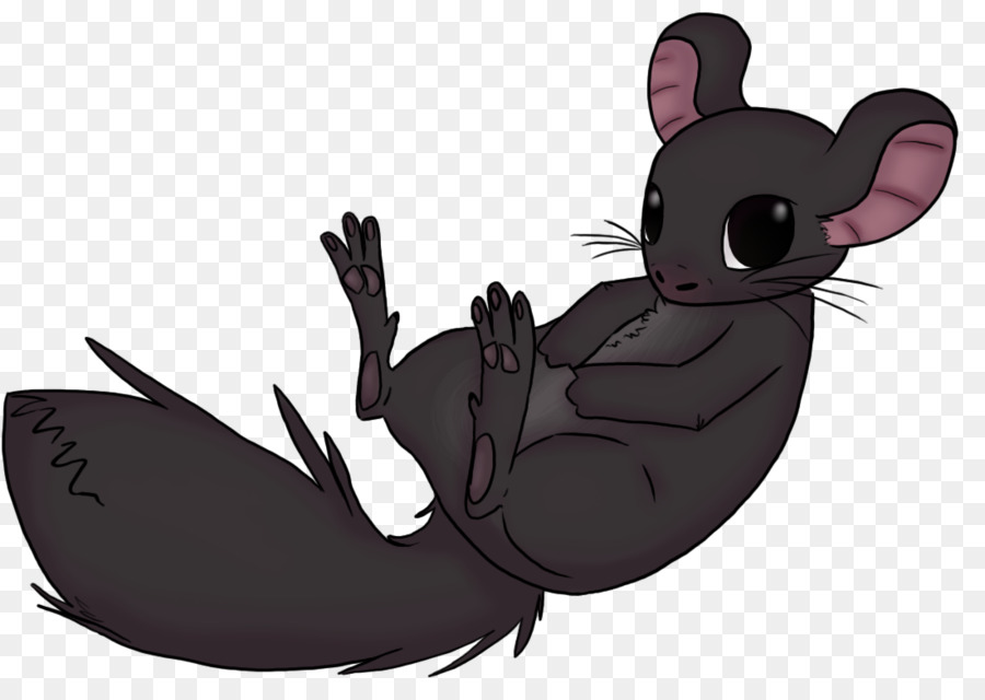 Lapin，Chinchilla PNG