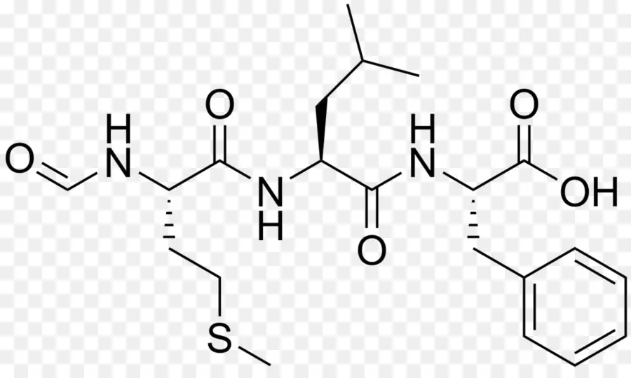 La Phénylalanine，Substance Chimique PNG