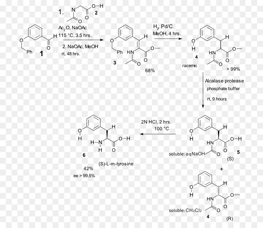 Erlenmeyerplöchl Azlactone à L Et Acides Aminés De Synthèse，D Acides Aminés PNG