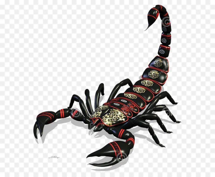 Scorpion，La Photographie De Stock PNG