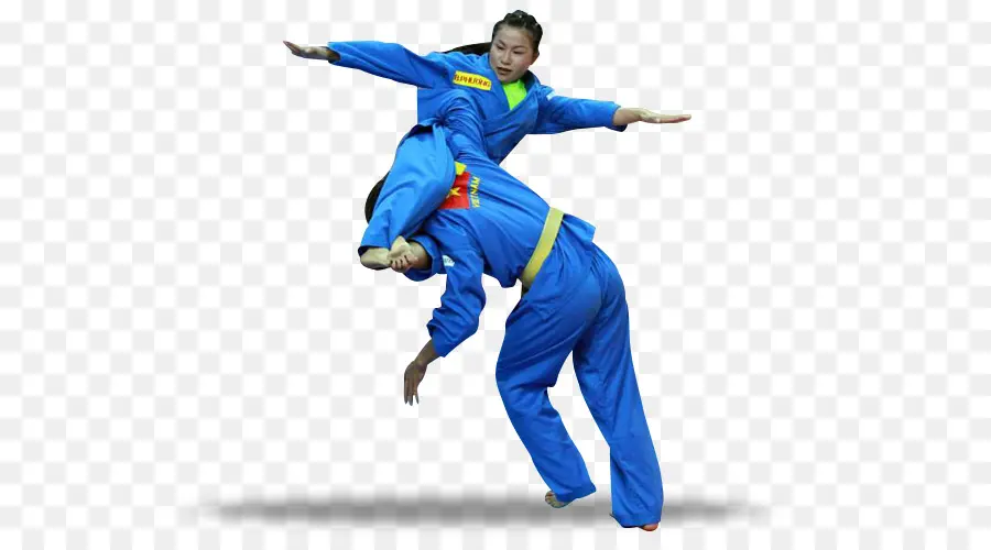 Vietnam，Vovinam PNG