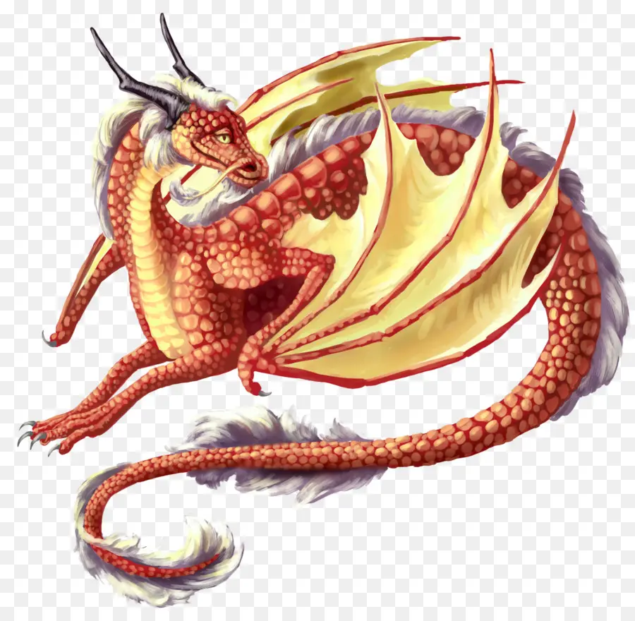 Dragon Rouge，Fantaisie PNG