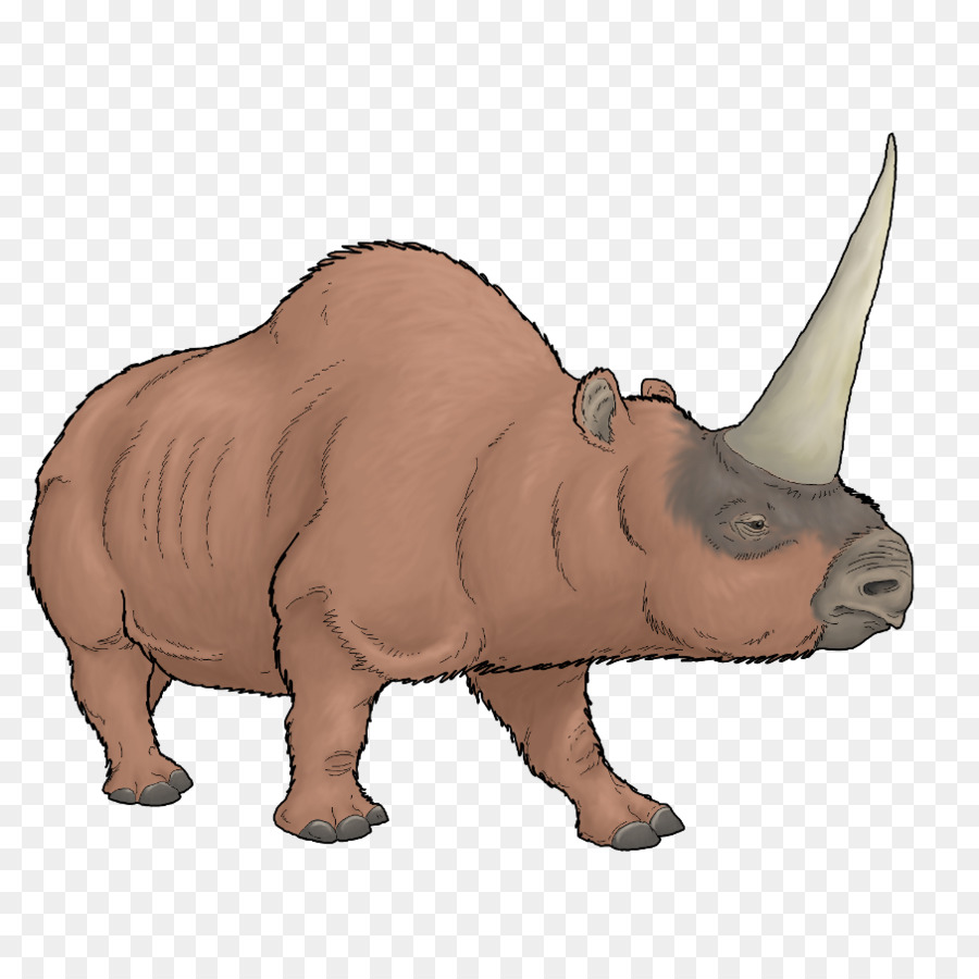 Elasmotherium，Corne PNG