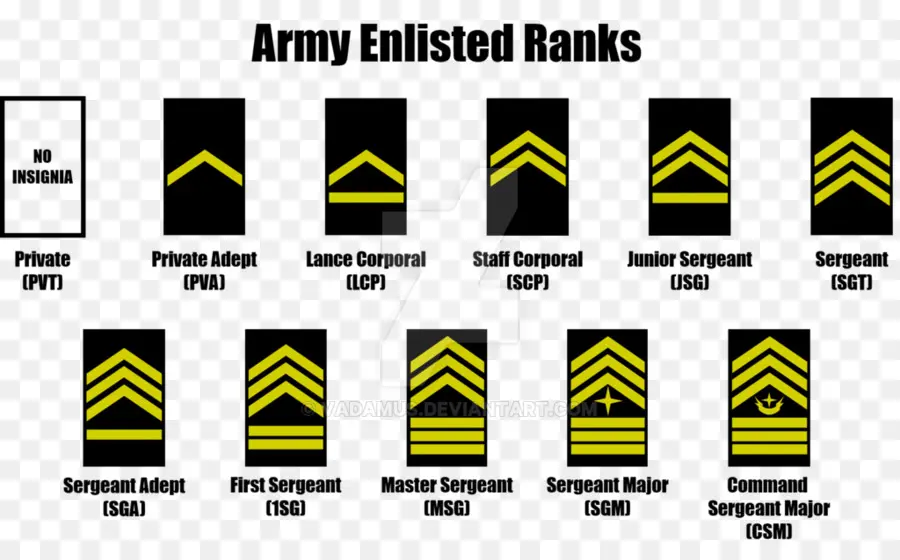 Grades De L'armée，Enrôlé PNG