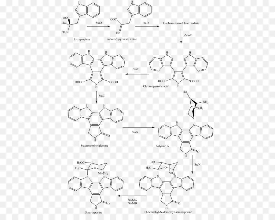 Diagramme Chimique，Molécule PNG