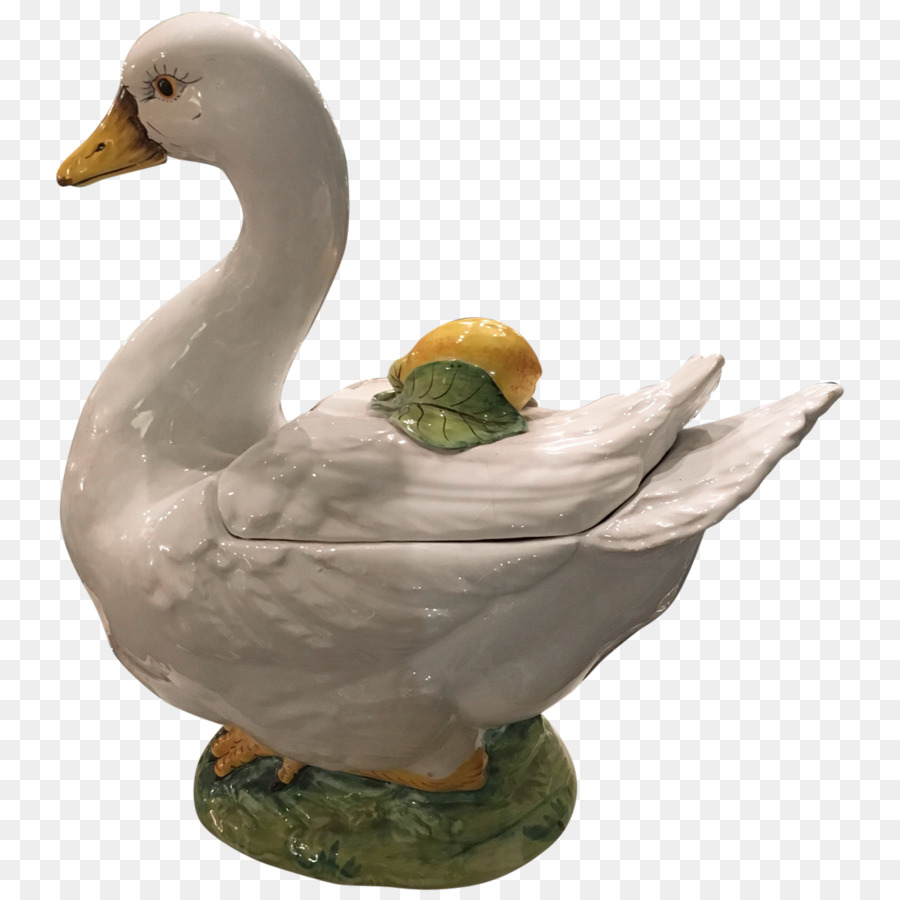 Canard，Table PNG