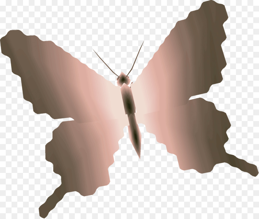 Papillon，Les Papillons Et Les Papillons PNG