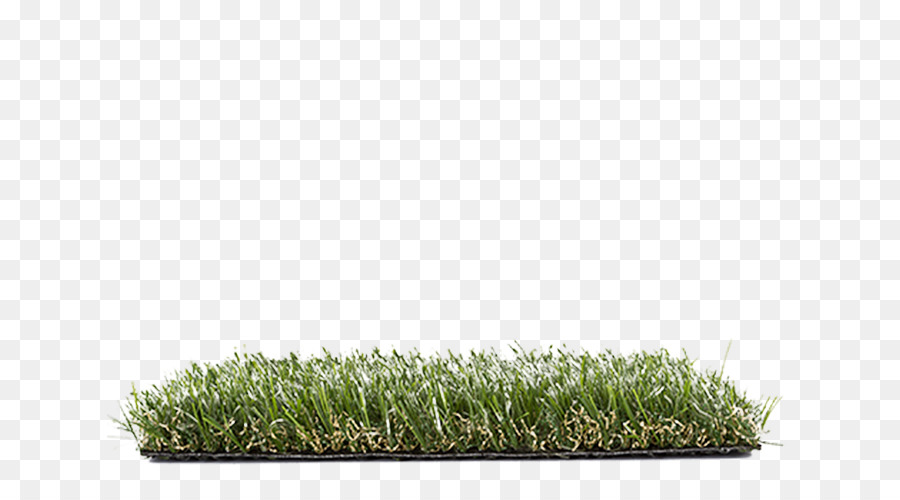 Gazon Artificiel，Herbe PNG