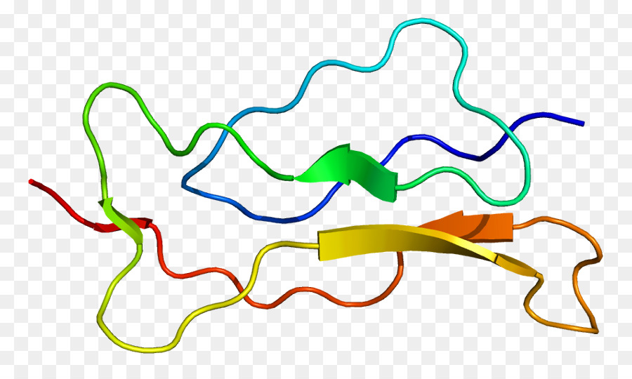 L Interleukine 15 Sous Unité Alpha Du Récepteur，L Interleukine 15 PNG