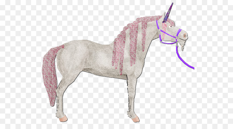 Cheval Coloré，Cheval PNG