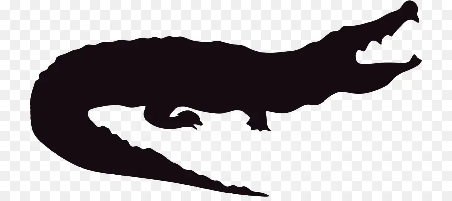 Silhouette De Crocodile，Reptile PNG