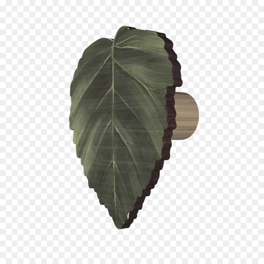 Feuille， PNG