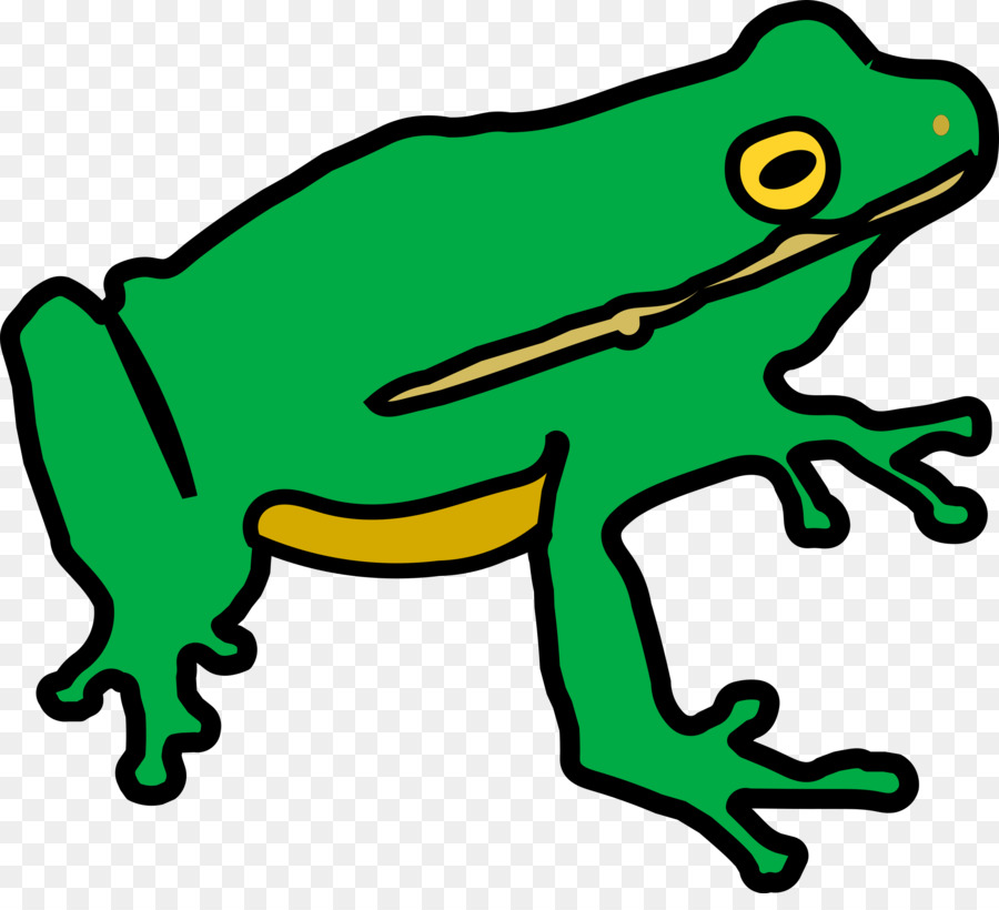 Grenouille Verte De Dessin Animé，Animal PNG