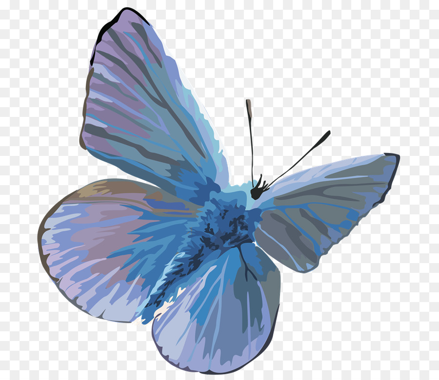 Papillon，Gimp PNG