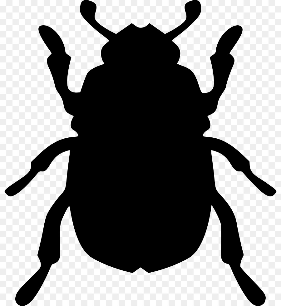 Bogue，Insecte PNG