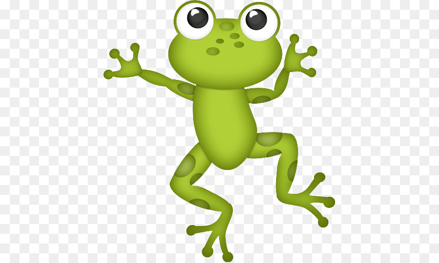 Grenouille Verte，Amphibie PNG