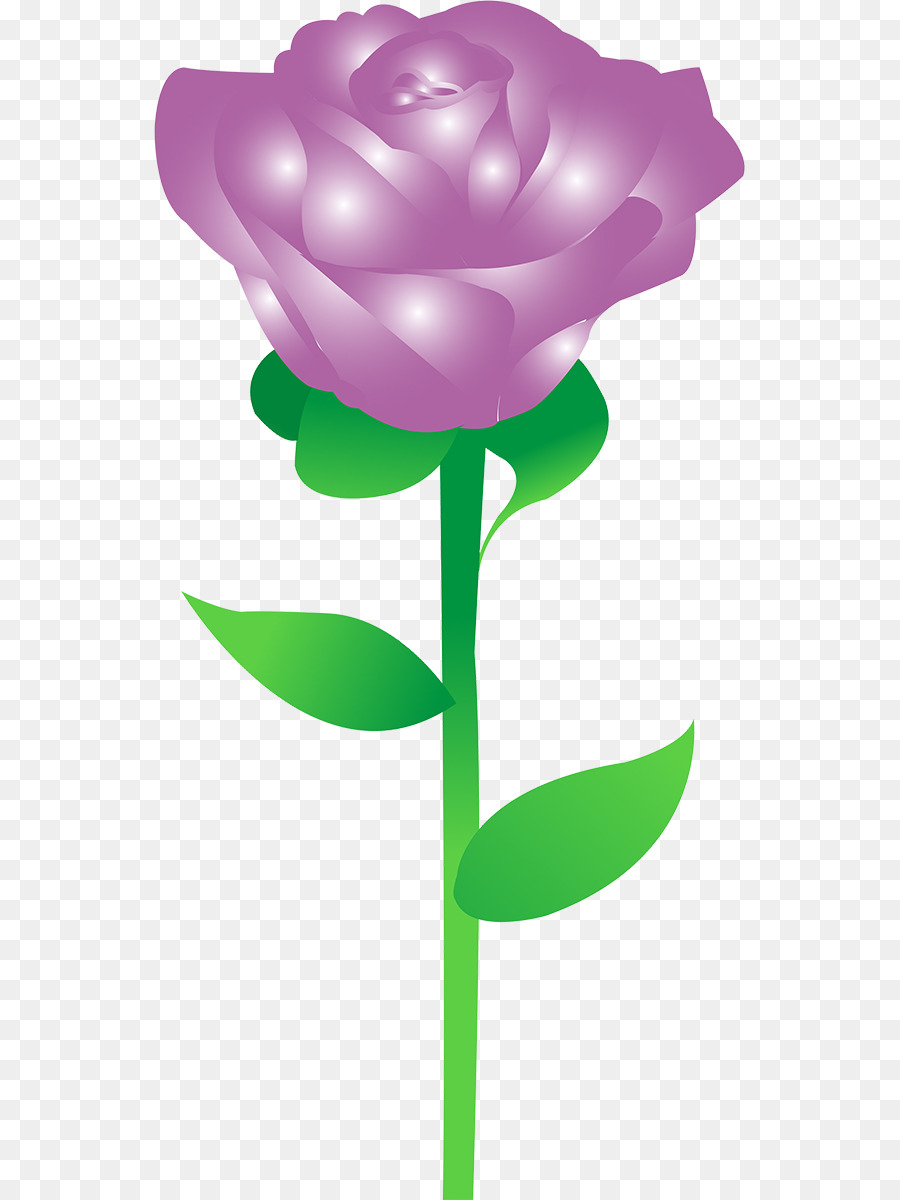 Les Roses De Jardin，Les Fleurs Coupées PNG