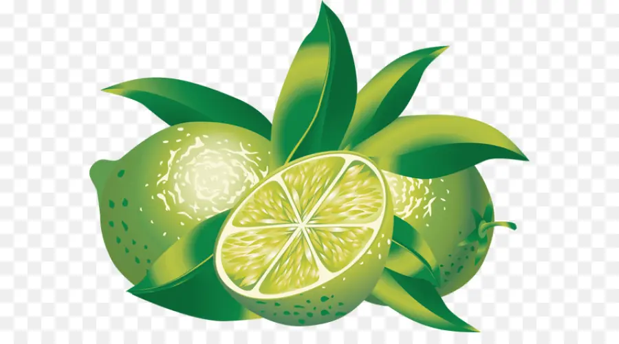 Citron Vert，Calamondin PNG