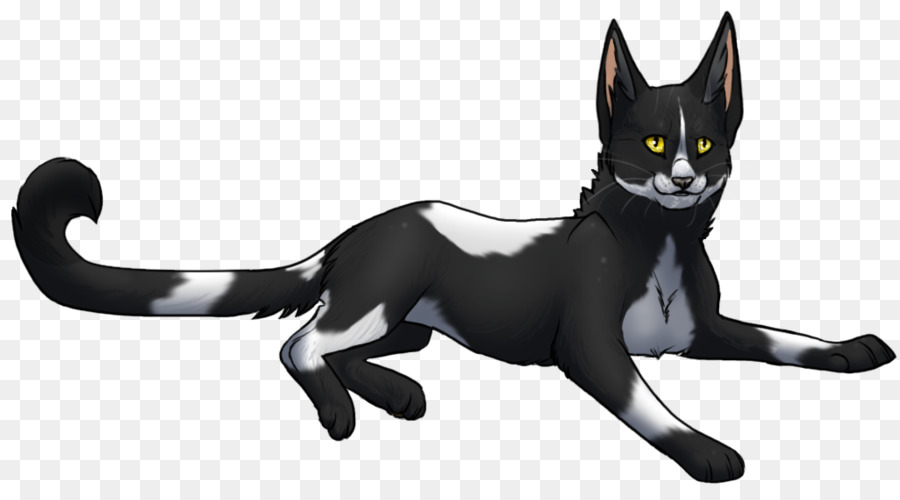 Chat，Noir PNG