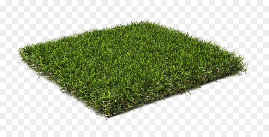 Herbe，Pelouse PNG