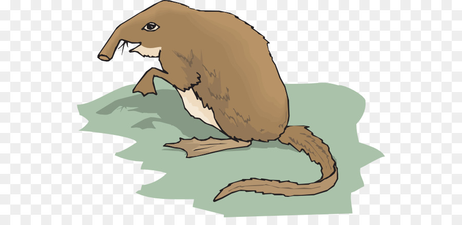 Animal De Dessin Animé，Illustration PNG