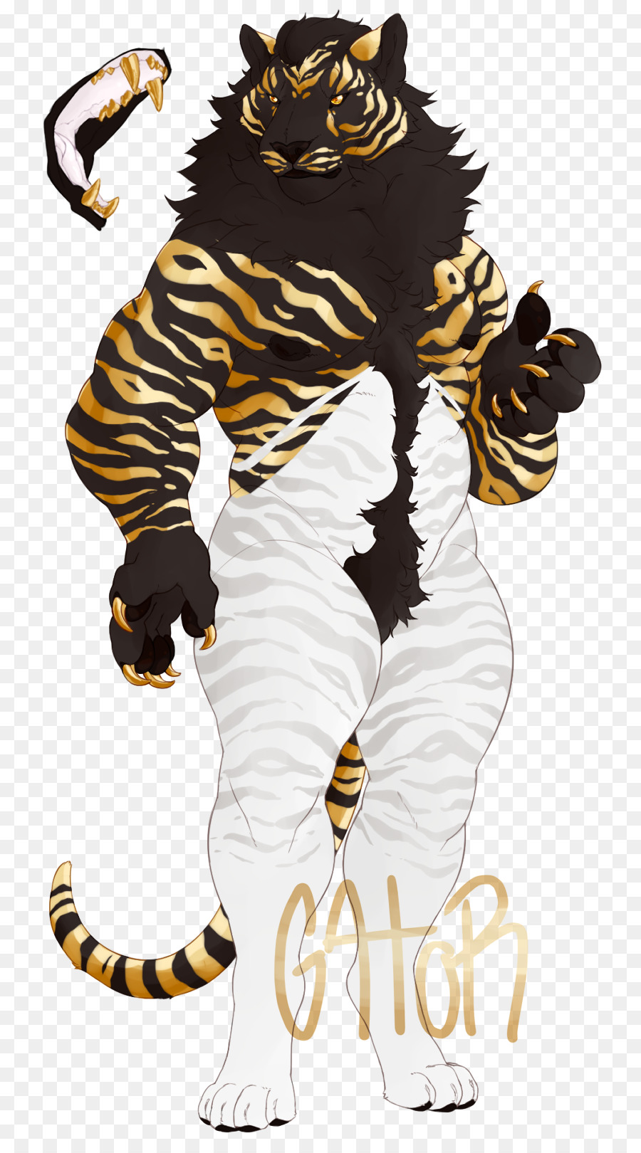 Tigre，Liger PNG