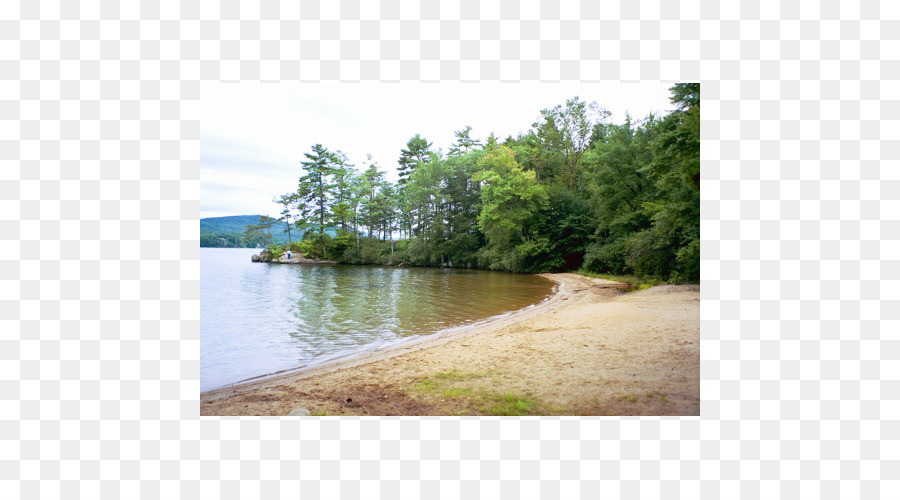 Parc D'État De Monadnock，Réserve Naturelle PNG