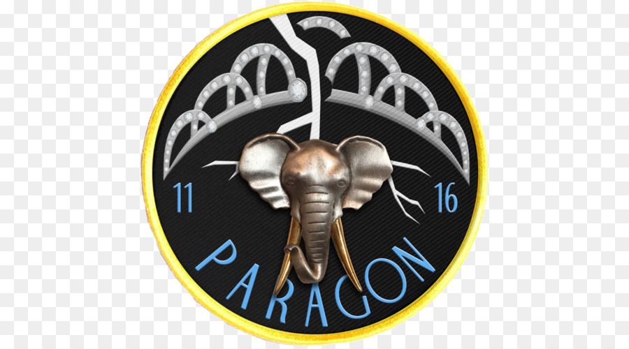 éléphant Indien，Opération De Paragon PNG