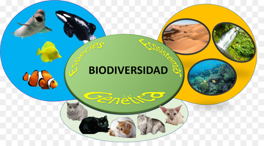 Biodiversité，écosystème PNG