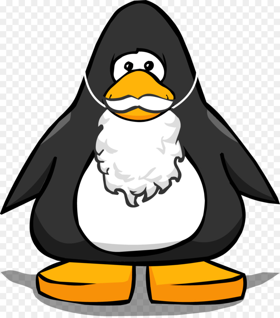 Pingouin Et Singe，Animal PNG