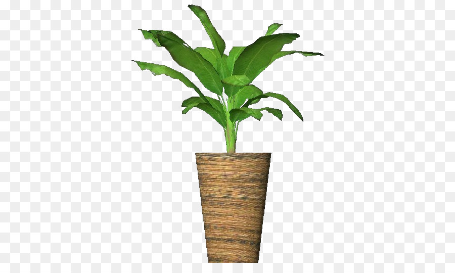 Banane，Plante PNG