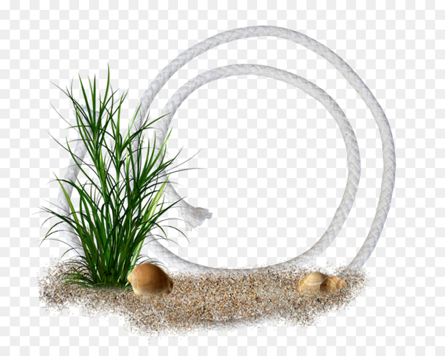 Corde Et Herbe，Nature PNG