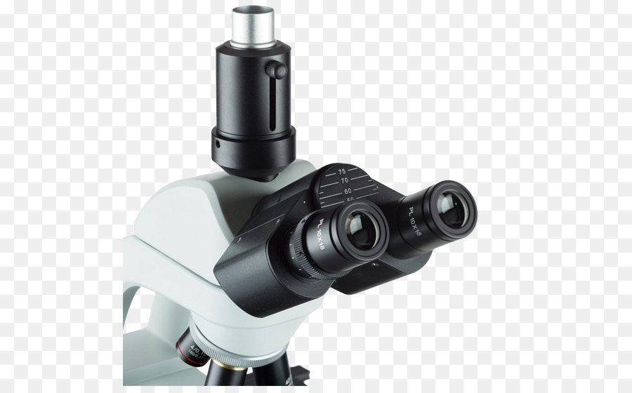 Microscope，Science PNG