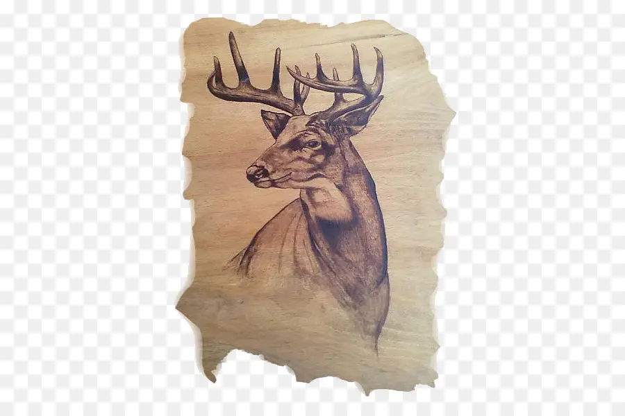 Art En Bois Du Cerf，Gravure PNG