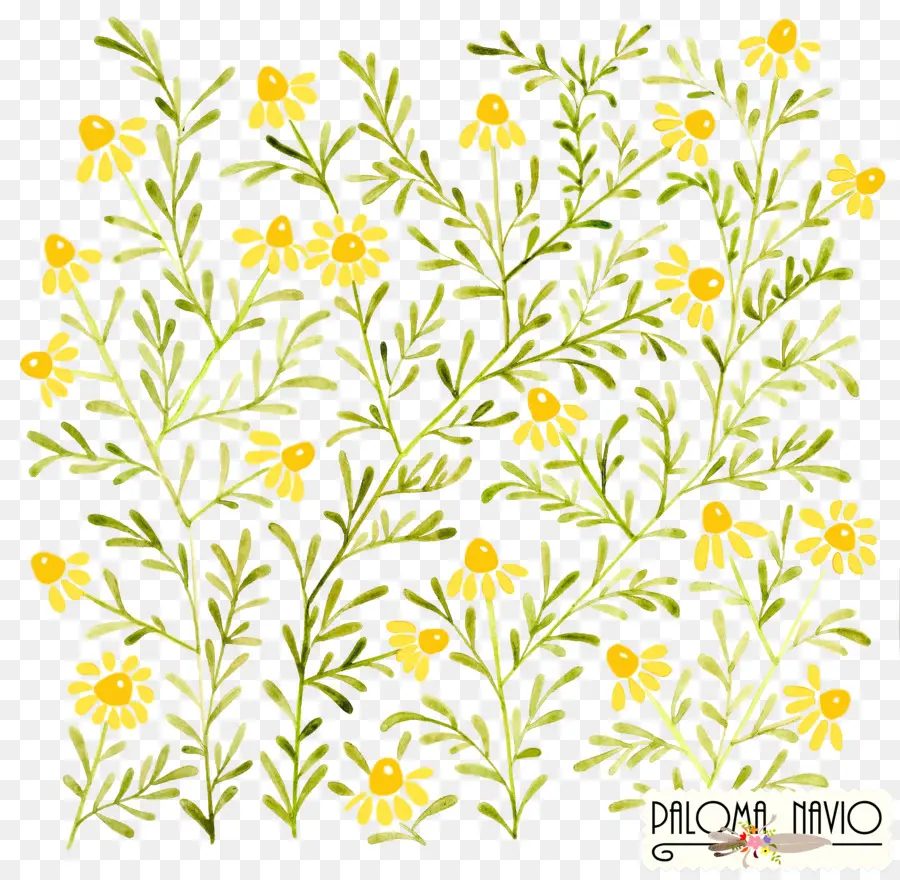 Fleurs Jaunes，Plantes PNG