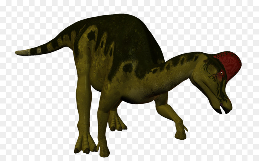 Tyrannosaurus，Vélociraptor PNG