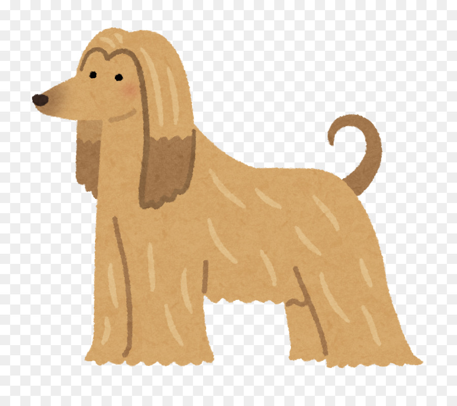 Chien D'or，Animal De Compagnie PNG