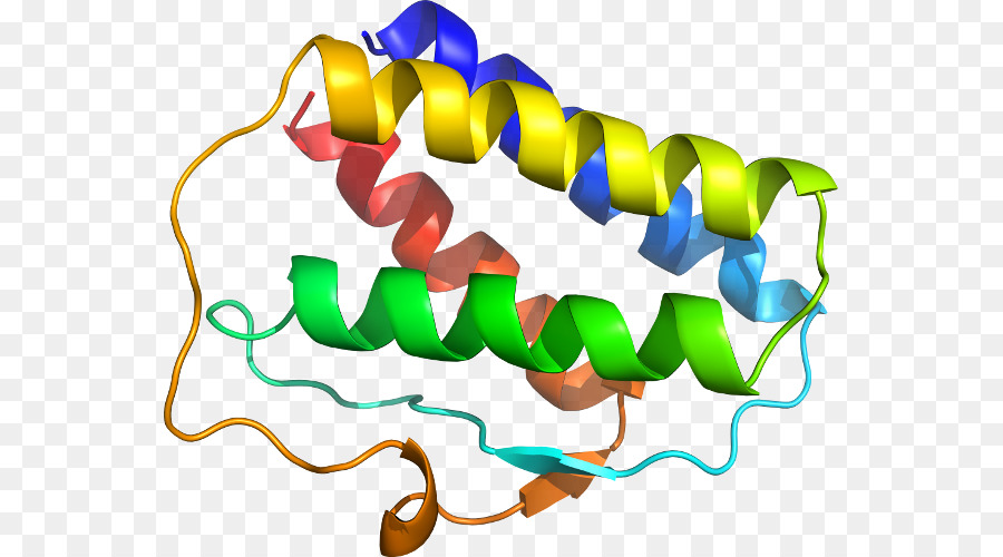 Hélice Protéique，Molécule PNG